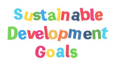 SDG logosu sallanan döngü canlandırması (şeffaf))