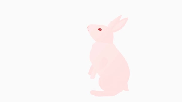 Schleifenanimation Eines Einfachen Kaninchens Das Aufmerksam Umherläuft — Stockvideo