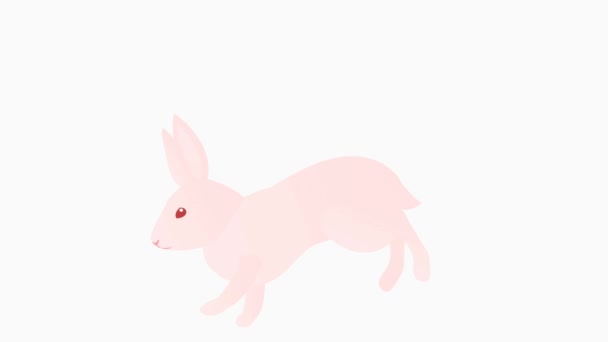 Loop Animation Simple Rabbit Running — Stock Video © t_k_m #564994348 Loop Animation Simple Rabbit Running — Stock Video © t_k_m #564994348