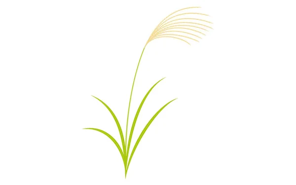 Clip Art Autumn Plant Silver Grass — Vector de stock