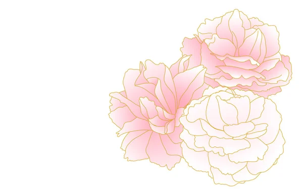 春花和植物 丛生的粉红色梯度双花樱桃 牡丹樱桃 — 图库矢量图片
