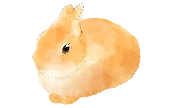 Aquarell Illustration Eines Braunen Kaninchens — Stockvektor