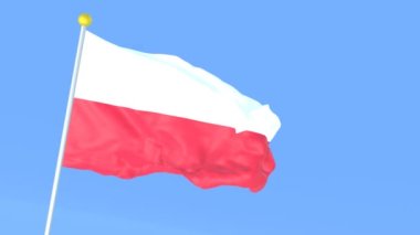 Dünyanın ulusal bayrağı, Polonya