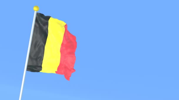 Drapeau National Monde Belgique — Video