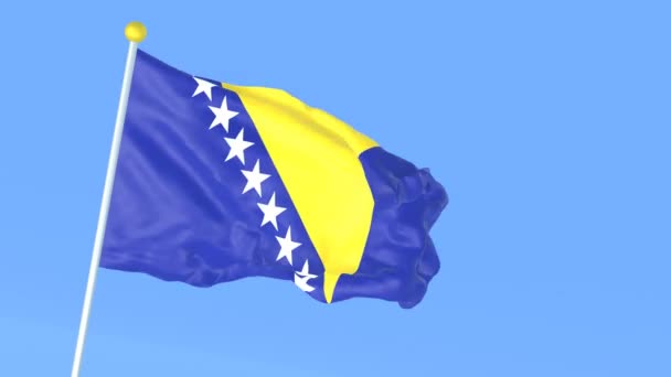Dünyanın Ulusal Bayrağı Bosna Hersek — Stok video