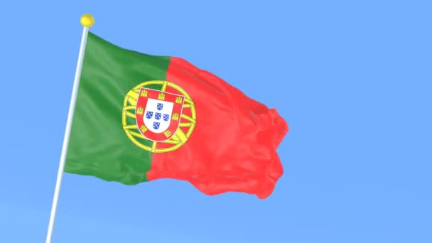 Національний Прапор Світу Португальська — стокове відео
