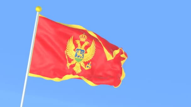 Det Nationale Flag Verden Montenegro – Stock-video