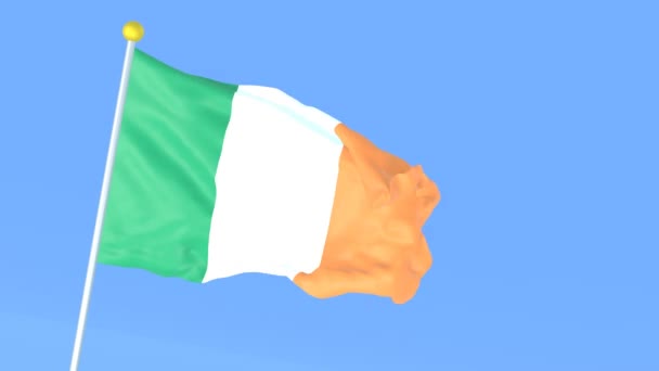 Государственный Флаг Мира Ирландия — стоковое видео