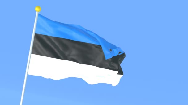 Bandiera Nazionale Del Mondo Estonia — Video Stock