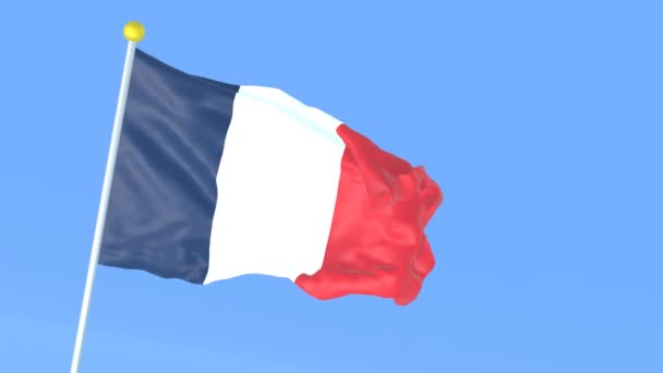 Die Nationalflagge Der Welt Französisch — Stockvideo
