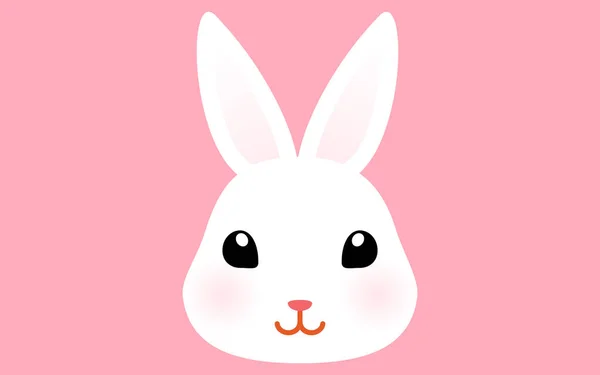 Cute White Rabbit Face Pink Background — Image vectorielle