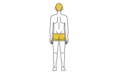 Basit bir çizim, iç çamaşırlı bir erkek arkadan görülmüş, boxer şortlu.