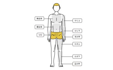 Erkek tüyü kesme, tüm gövde (ön) bölge rehberi, iç çamaşırı - çeviri: tam göğüs, dolu göbek, dirsek, dirsek, el, diz, diz, bacak arkası