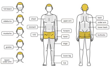 Men's hair removal, full body (front and back) and face area guide, underwear