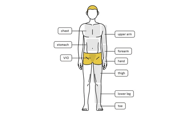 Depilacja Męska Przewodnik Okolicy Całego Ciała Przodu Bielizna — Wektor stockowy