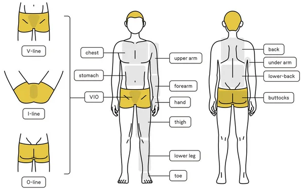 Men Hair Removal Full Body Front Back Vio Area Guide — Stock Vector