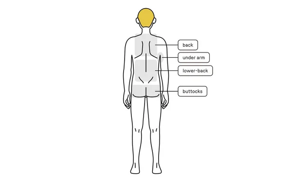 Men Hair Removal Full Body Back Area Guide Nude — ストックベクタ