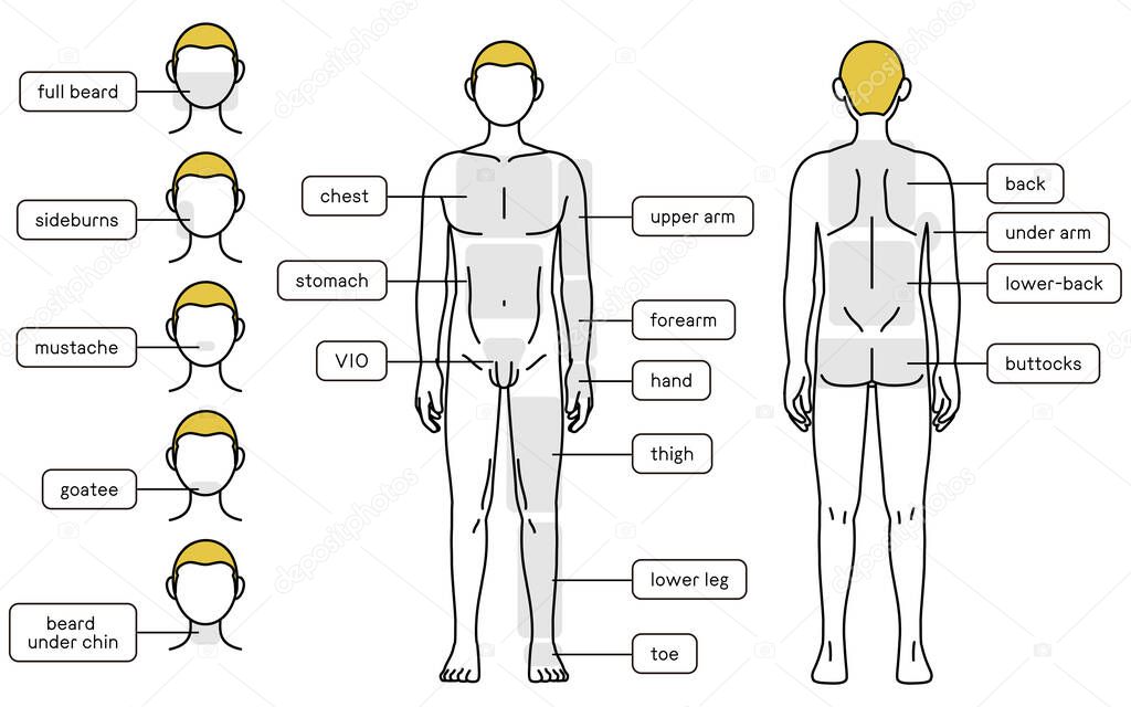 Men's hair removal, full body (front and back) and facial area guide, nude