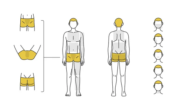 Men Hair Removal Beard Whole Body Vio Area Guide Underwear — Stockvektor