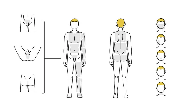 Men Hair Removal Beard Whole Body Vio Area Guide Naked — Stockový vektor