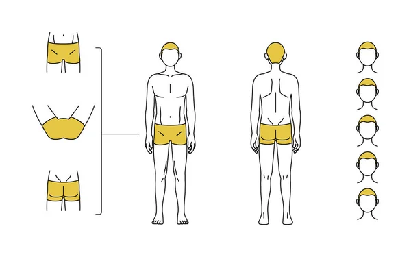 Men Hair Removal Beard Whole Body Vio Area Guide Underwear — ストックベクタ