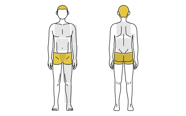 Men Hair Removal Full Body Front Back Body Contouring Underwear — Stock vektor