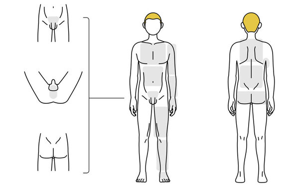 Men's hair removal, full body (front and back) and VIO area guide, nude