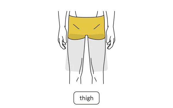 Men Hair Removal Area Thigh — 스톡 벡터