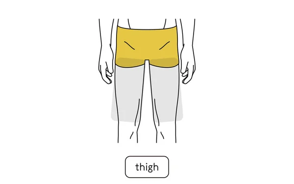 Men Hair Removal Area Thigh — 图库矢量图片