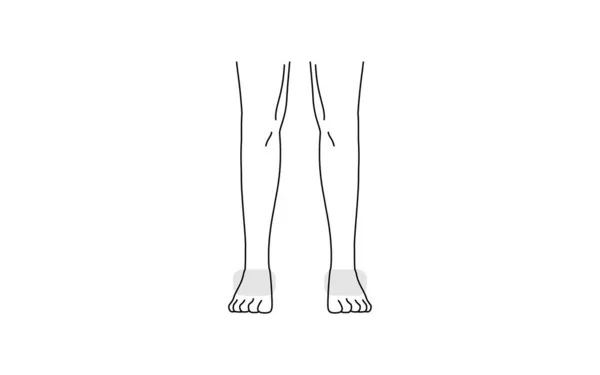 Men Hair Removal Area Back Legs — Stock Vector