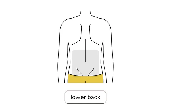 Men Hair Removal Area Lower Back — Wektor stockowy