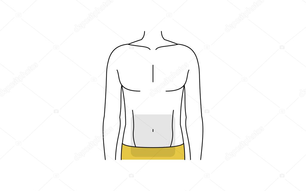 Men's hair removal area, entire abdomen