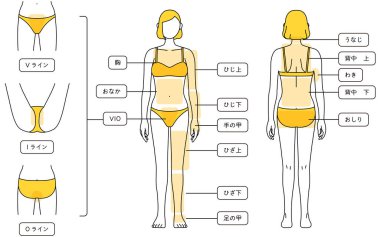 Hair Removal Illustrations for Women Full Body and VIO - Translation: V-line, I-line, O-line, breast, tummy, elbow, elbow, back of hand, knee, knee, back of leg, nape of neck, upper back, armpit, lower back, hip
