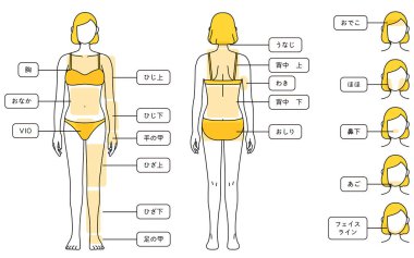 Hair Removal Illustrations for Women - Full body and face - Translation: chest, tummy, elbow, elbow, back of hand, knee, knee, back of leg, nape of neck, upper back, armpit, lower back, hips, forehead, cheeks, nose, chin, facial line