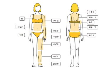 Hair Removal Illustrations for Women - Full body - Translation: chest, tummy, elbow, elbow, back of hand, knee, knee, back of leg, nape of neck, upper back, armpit, lower back, hips