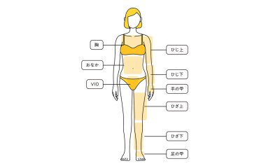 Female Hair Removal Illustration Full Length from Front - Translation: chest, tummy, elbow, elbow, back of the hand, back of the hand, back of the knee, knee, back of the foot above the knee, below the knee below the knee back of the leg