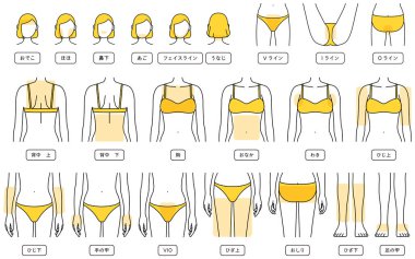 Hair Removal Illustrations for Women by Parts, Facial Hair Removal, VIO, Upper Body, Lower Body - Translation: forehead, cheek, nose, chin, facial line, nape of neck, V-line, I-line, O-line, upper back, lower back, chest, tummy, armpit, upper elbow, 