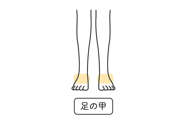 Woman Hair Removal Illustration Part Instep Translation Instep — Wektor stockowy