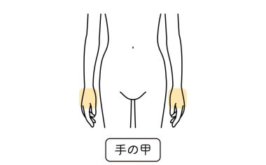 Illustration of female hair removal by part, back of hand - Translation:Back of hand
