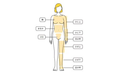 Female Hair Removal Illustration Full Length from Front - Translation: chest, tummy, elbow, elbow, back of the hand, back of the hand, back of the knee, knee, back of the foot above the knee, below the knee below the knee back of the leg