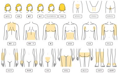Hair Removal Illustrations for Women by Parts, Facial Hair Removal, VIO, Upper Body, Lower Body - Translation: forehead, cheek, nose, chin, facial line, nape of neck, V-line, I-line, O-line, upper back, lower back, chest, tummy, armpit, upper elbow, 