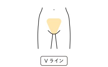Hair Removal Illustrations for Women by Part - Translation: V line