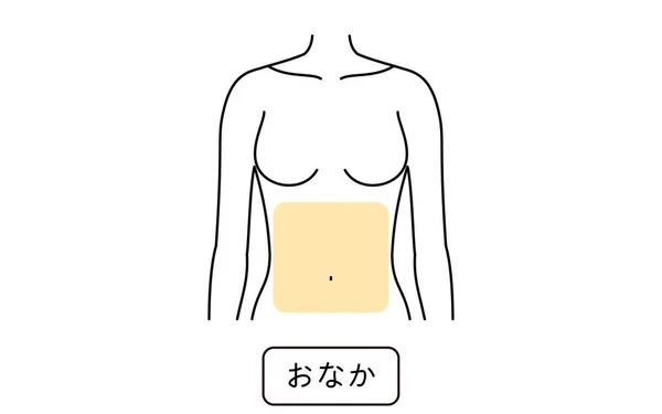 Hair Removal Illustration Women Part Part Tummy Translation Tummy — Wektor stockowy