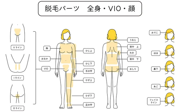 Illustration Female Hair Removal Full Body Vio Face Translation Line — Stockvektor