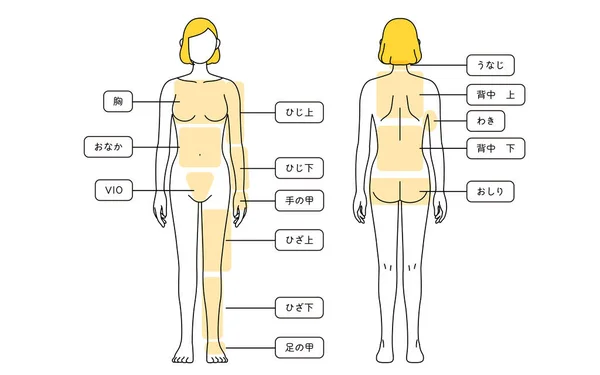 Hair Removal Illustrations Women Full Body Translation Chest Tummy Elbow — ストックベクタ