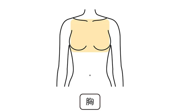 Female Hair Removal Illustration Parts Breasts Translation Breasts — Stock Vector
