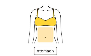 Hair Removal Illustration for Women Part by Part, Tummy