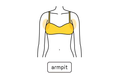 Hair removal illustration for women by part, armpit