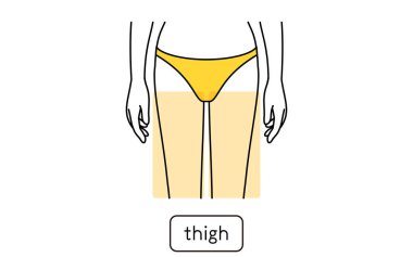 Illustration of female hair removal by part, above the knee