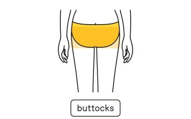 Female hair removal illustration by part, hips